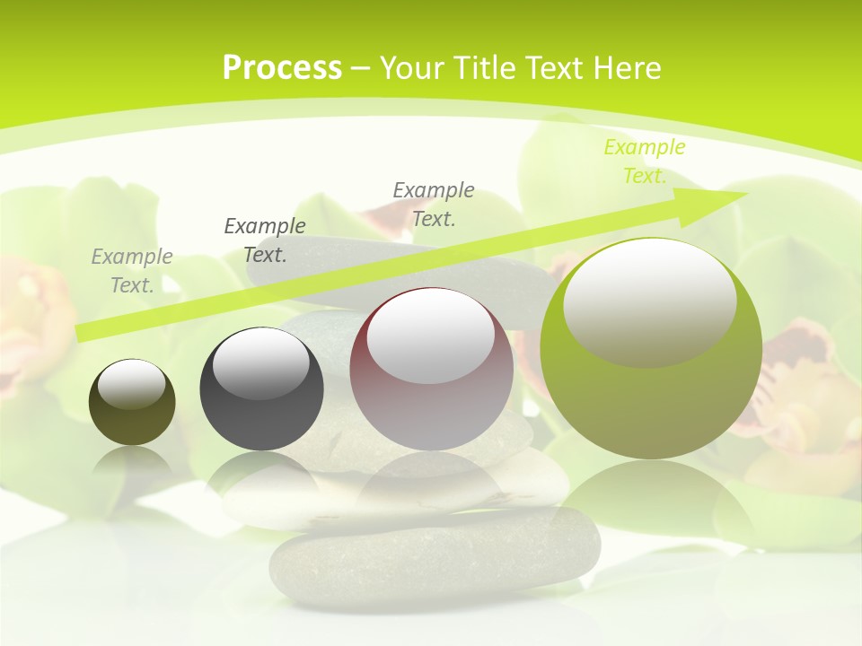 Stem Beautiful Indoor PowerPoint Template