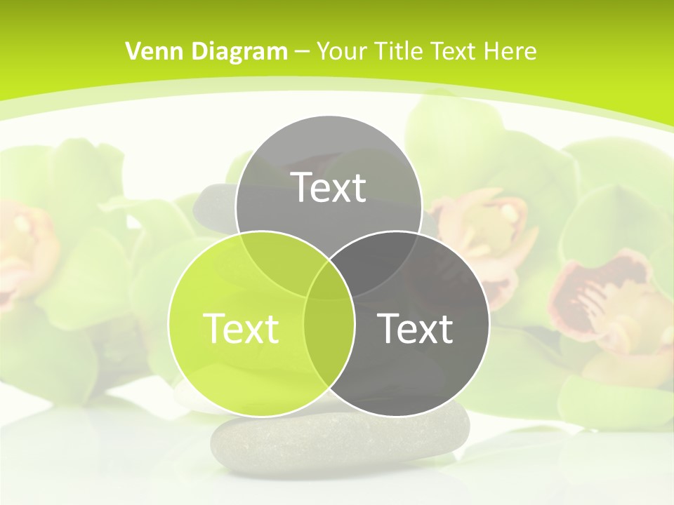 Stem Beautiful Indoor PowerPoint Template