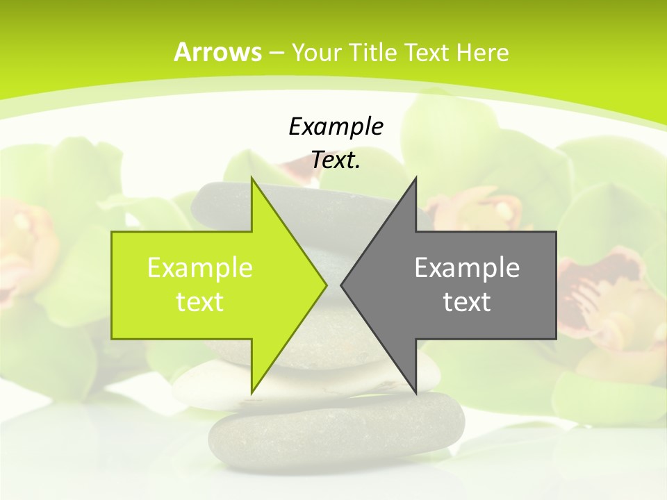 Stem Beautiful Indoor PowerPoint Template