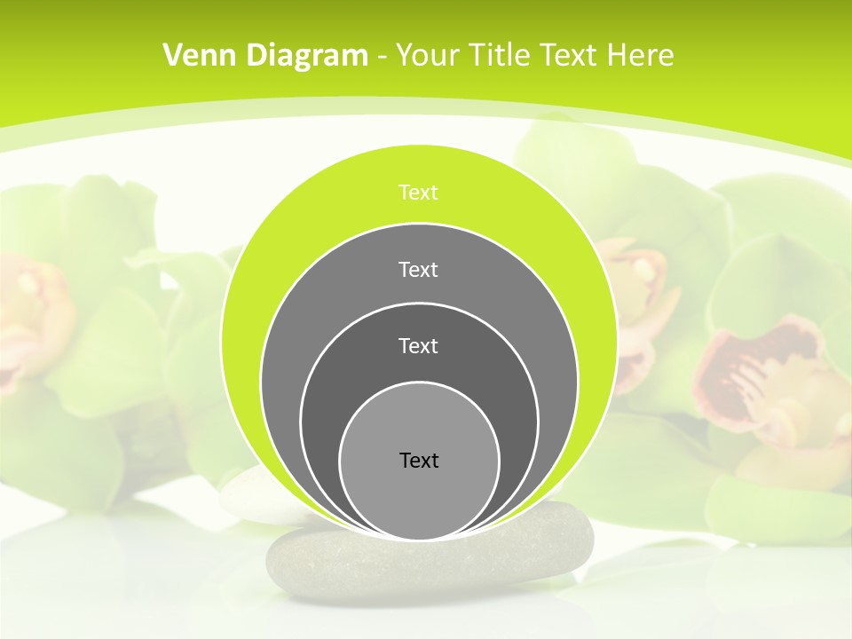 Stem Beautiful Indoor PowerPoint Template