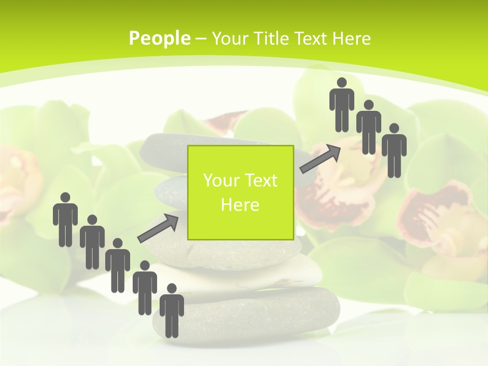 Stem Beautiful Indoor PowerPoint Template