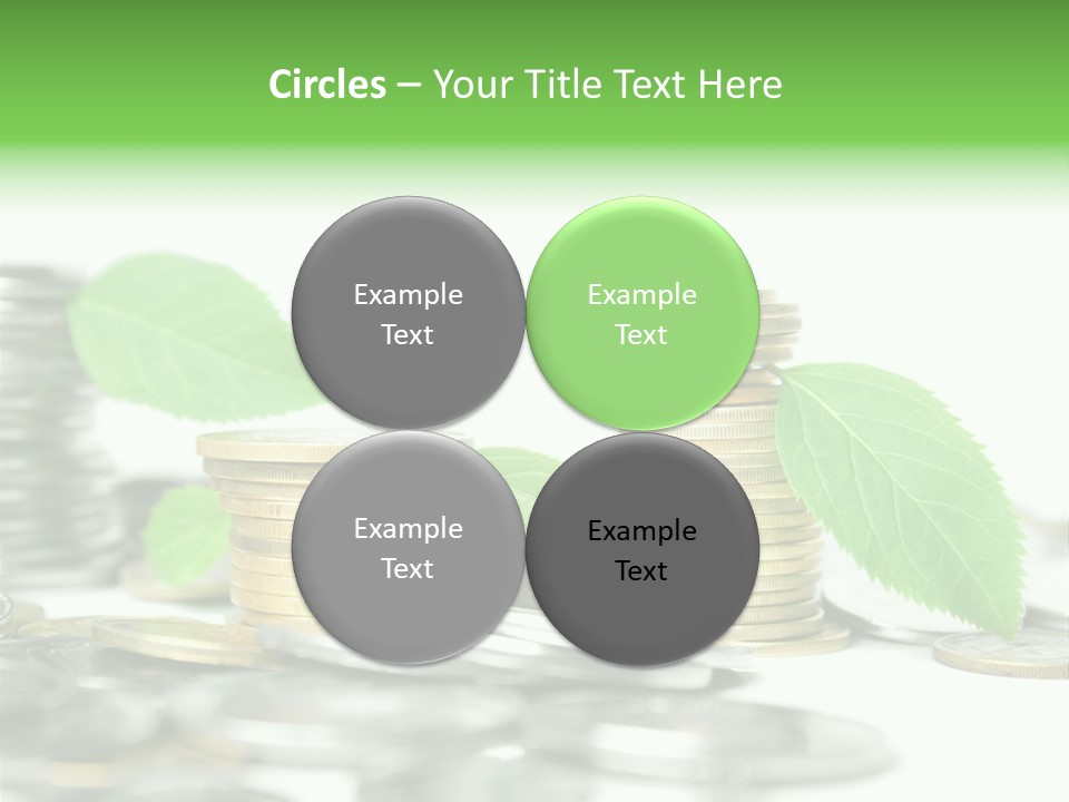 Finance Monetary Coin PowerPoint Template