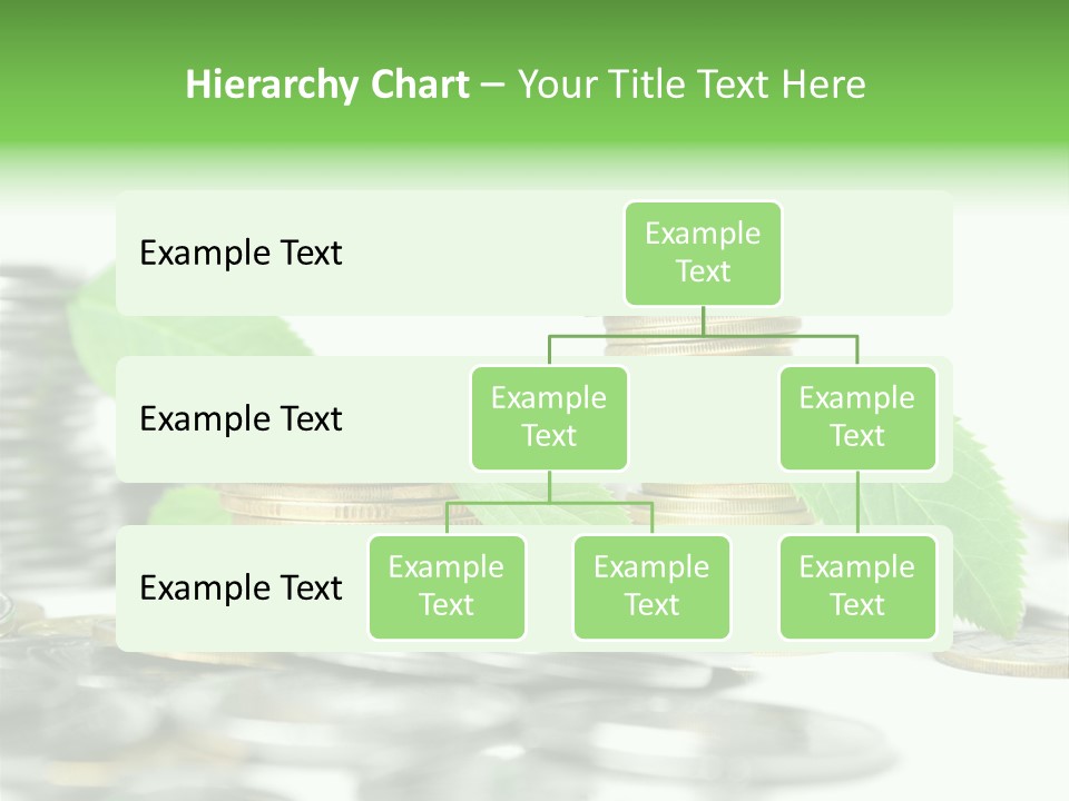 Finance Monetary Coin PowerPoint Template
