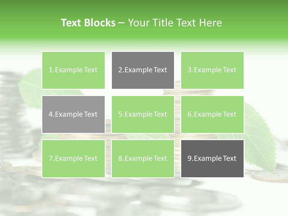 Finance Monetary Coin PowerPoint Template