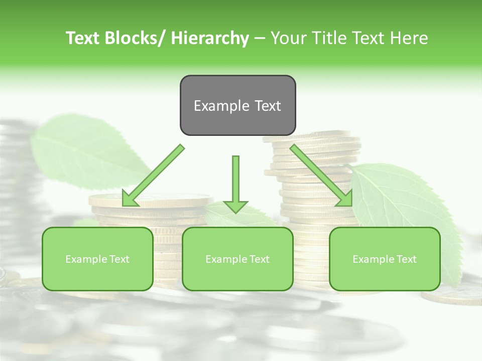 Finance Monetary Coin PowerPoint Template