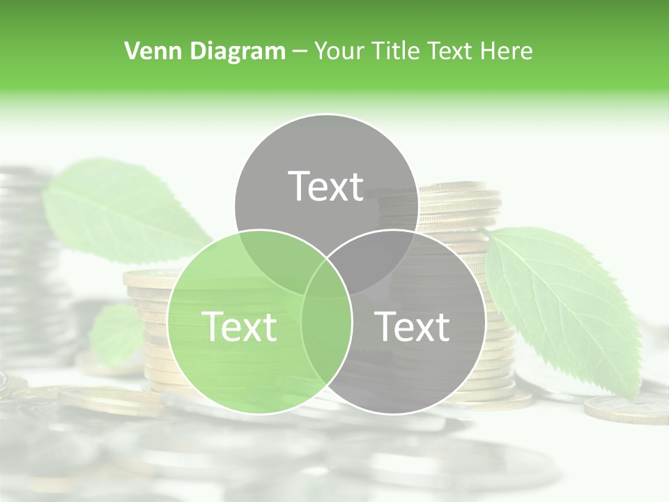 Finance Monetary Coin PowerPoint Template