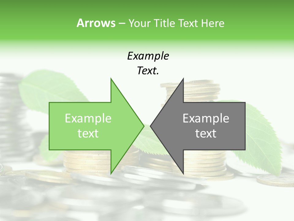 Finance Monetary Coin PowerPoint Template