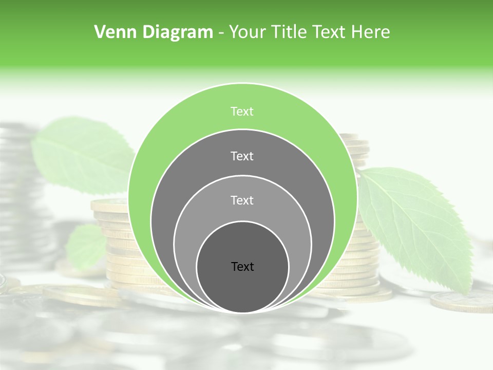 Finance Monetary Coin PowerPoint Template