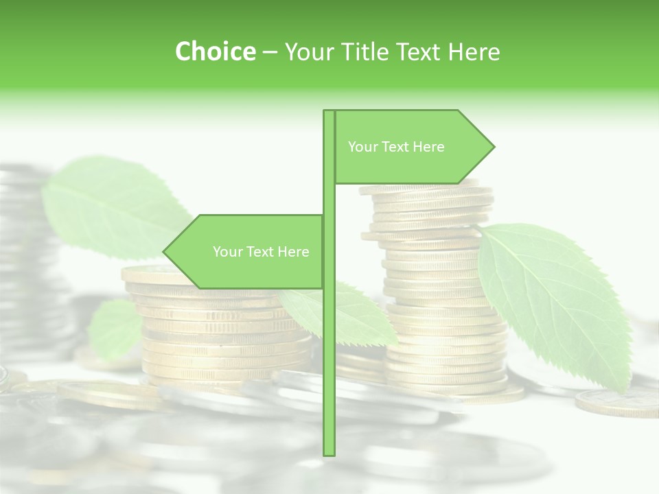 Finance Monetary Coin PowerPoint Template