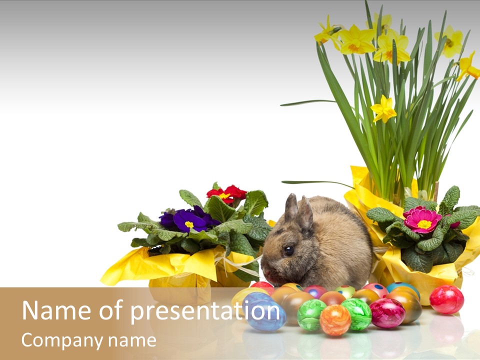A Hamster In A Basket With Flowers And Eggs PowerPoint Template