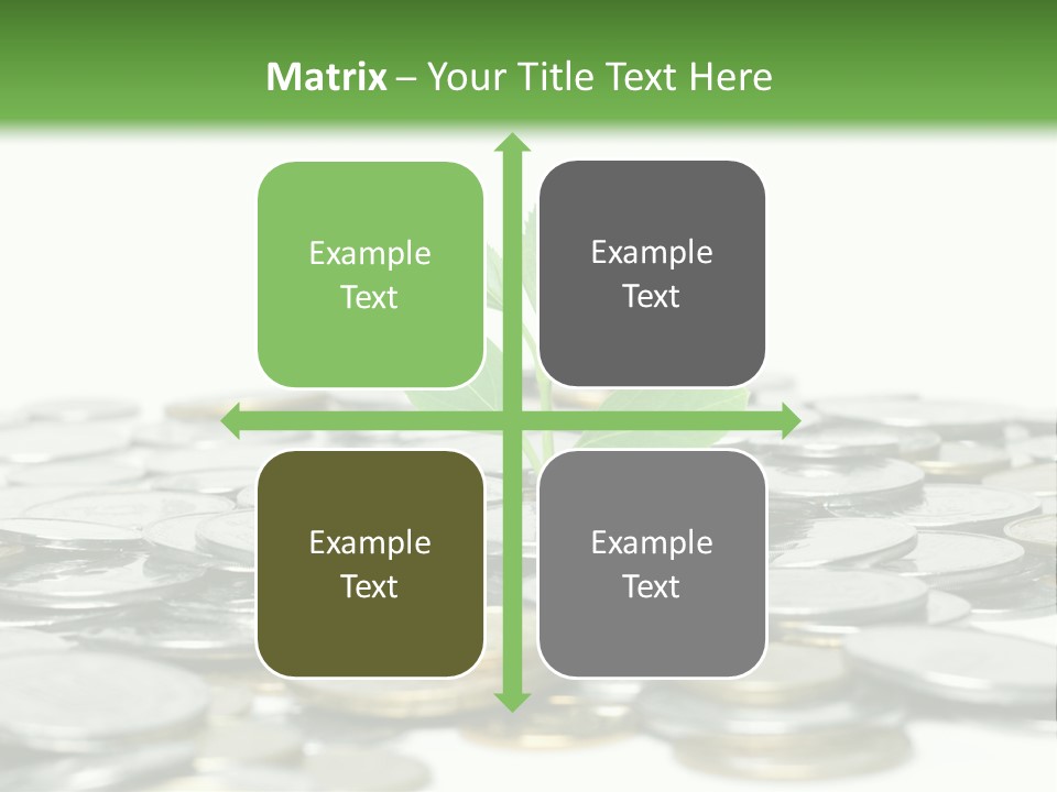 Hryvnia Many Finance PowerPoint Template