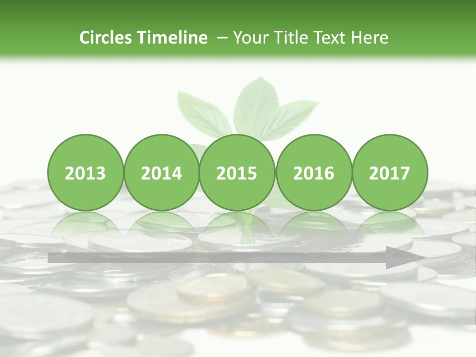 Hryvnia Many Finance PowerPoint Template