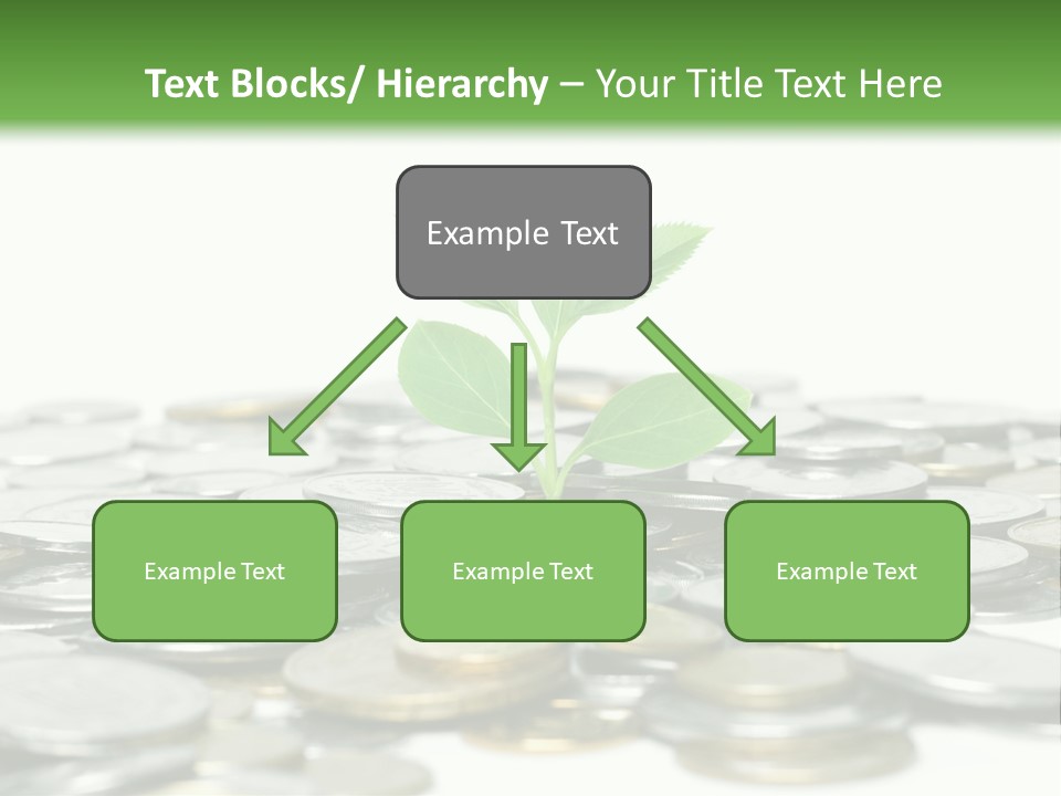 Hryvnia Many Finance PowerPoint Template