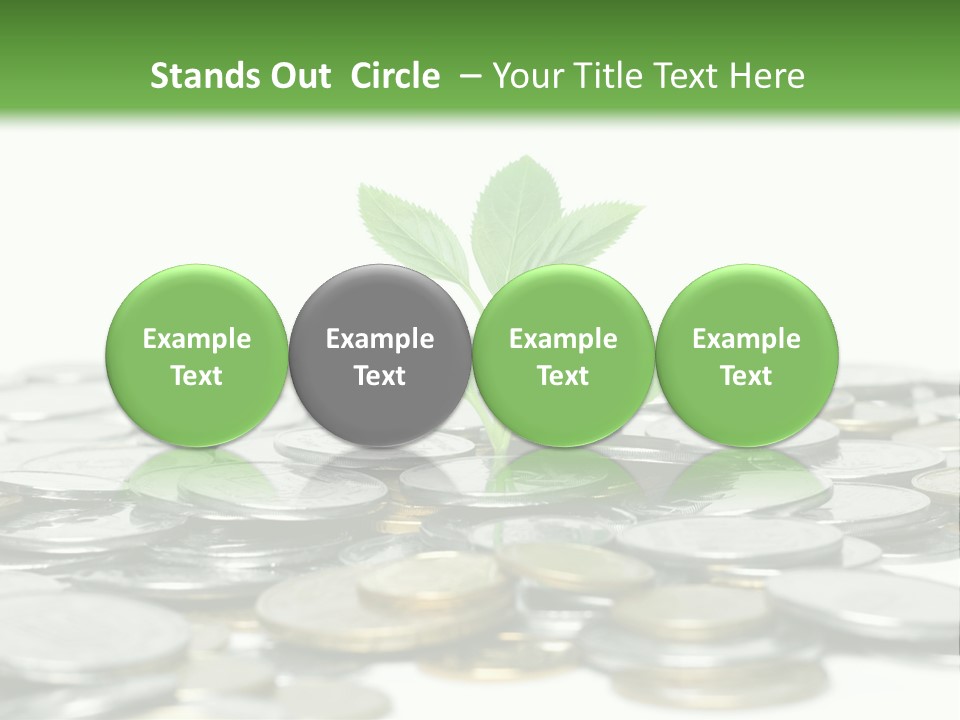 Hryvnia Many Finance PowerPoint Template