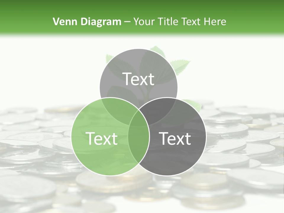 Hryvnia Many Finance PowerPoint Template