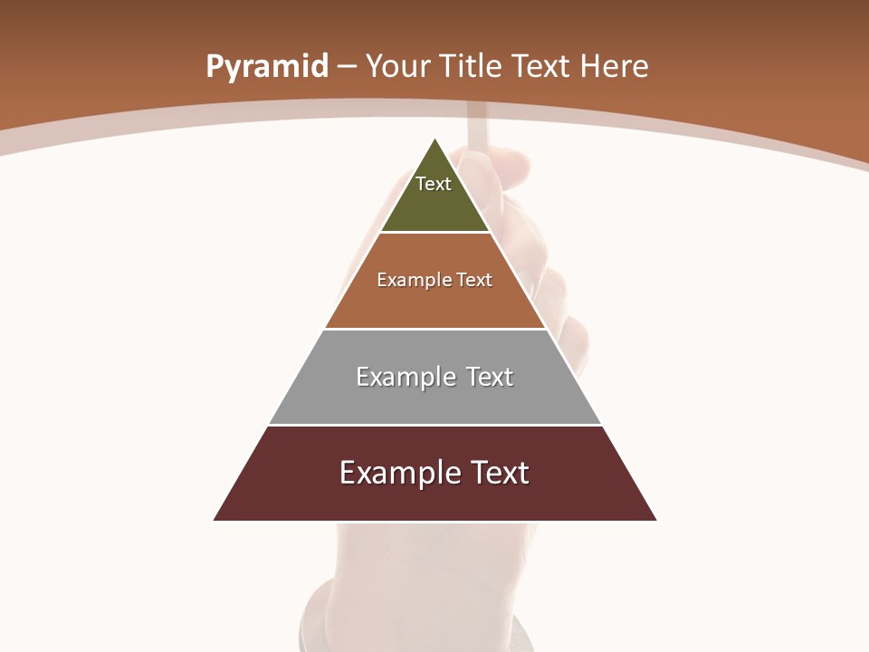 Displaying Text Field Blank PowerPoint Template