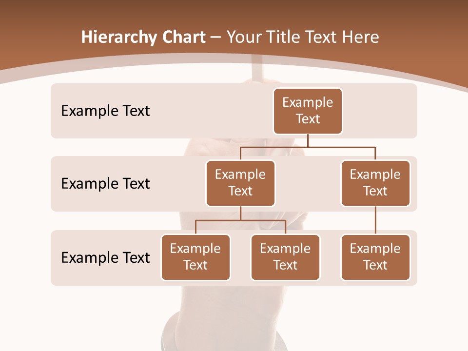 Displaying Text Field Blank PowerPoint Template