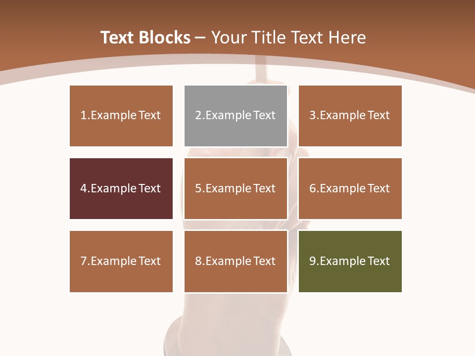 Displaying Text Field Blank PowerPoint Template