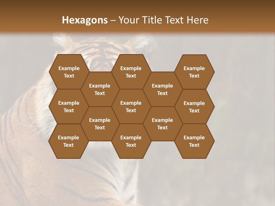 Tongue Head Tigress PowerPoint Template