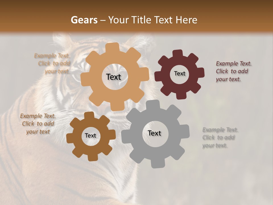 Tongue Head Tigress PowerPoint Template