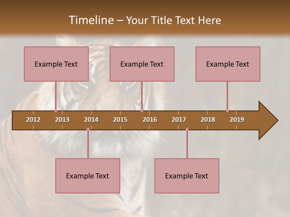 Tongue Head Tigress PowerPoint Template