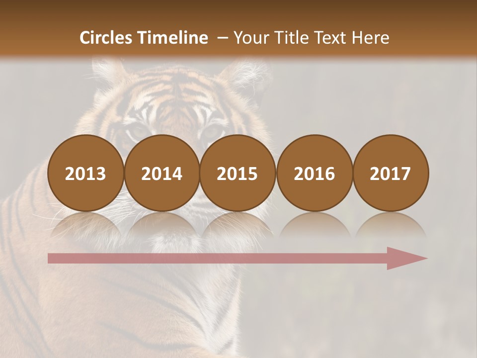 Tongue Head Tigress PowerPoint Template
