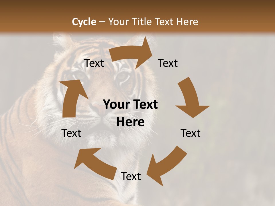 Tongue Head Tigress PowerPoint Template