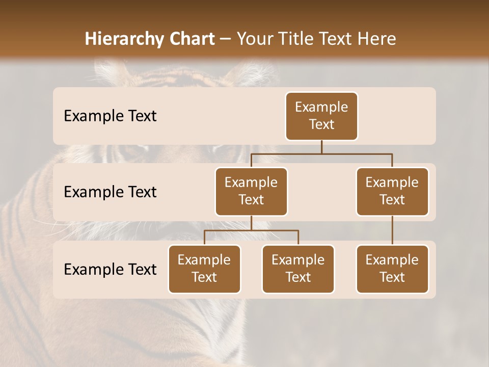 Tongue Head Tigress PowerPoint Template