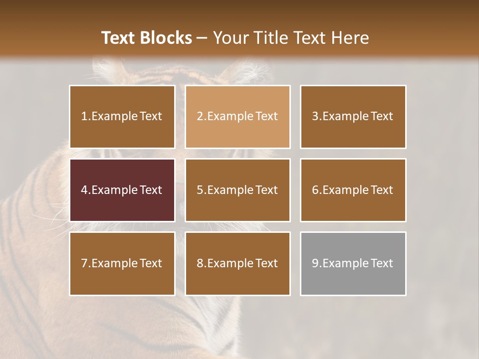 Tongue Head Tigress PowerPoint Template