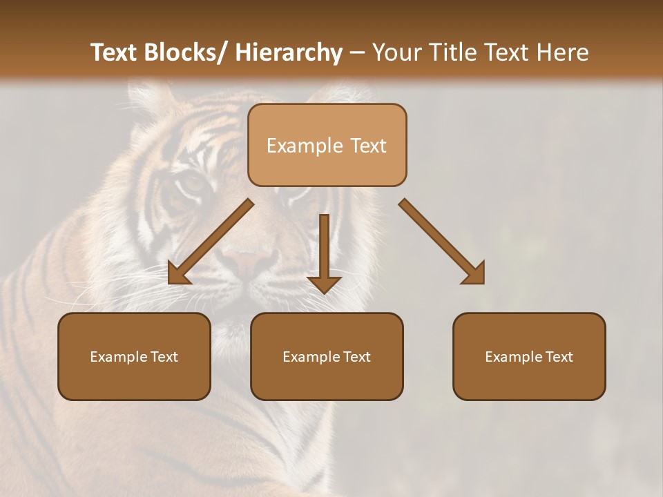 Tongue Head Tigress PowerPoint Template