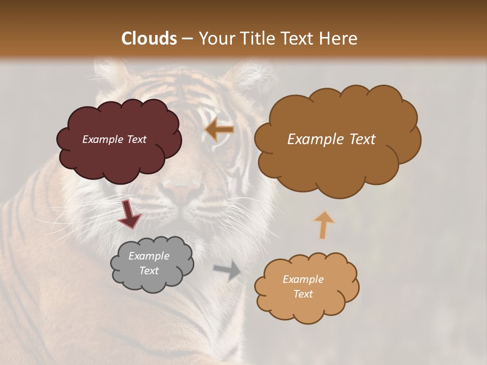 Tongue Head Tigress PowerPoint Template