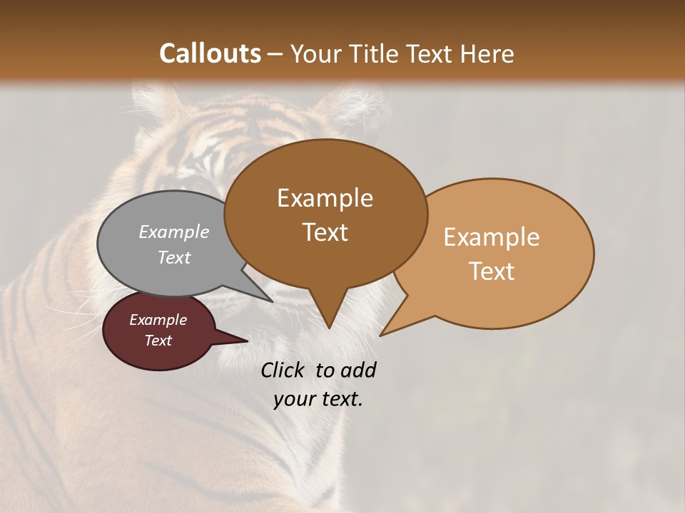 Tongue Head Tigress PowerPoint Template