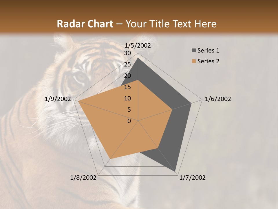 Tongue Head Tigress PowerPoint Template