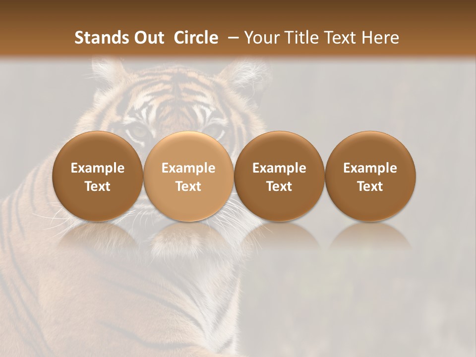 Tongue Head Tigress PowerPoint Template