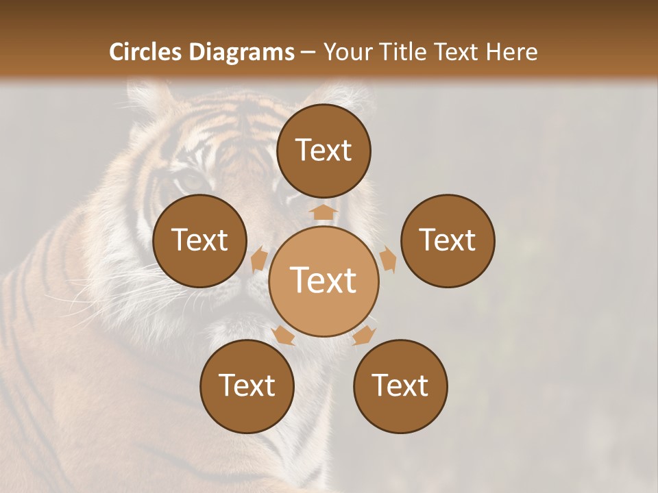 Tongue Head Tigress PowerPoint Template