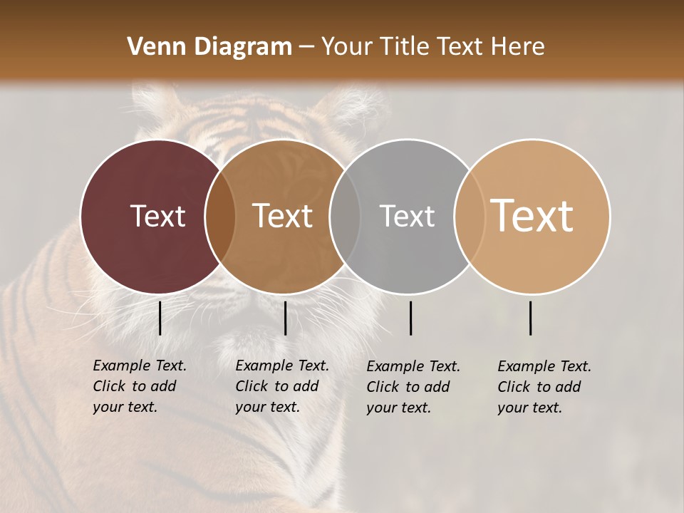 Tongue Head Tigress PowerPoint Template