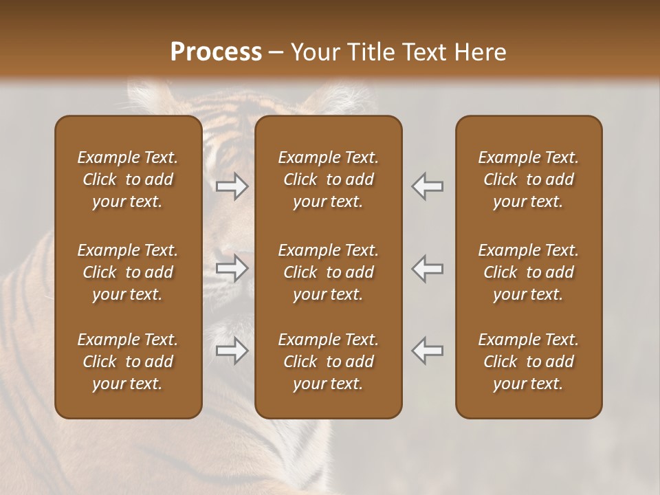 Tongue Head Tigress PowerPoint Template