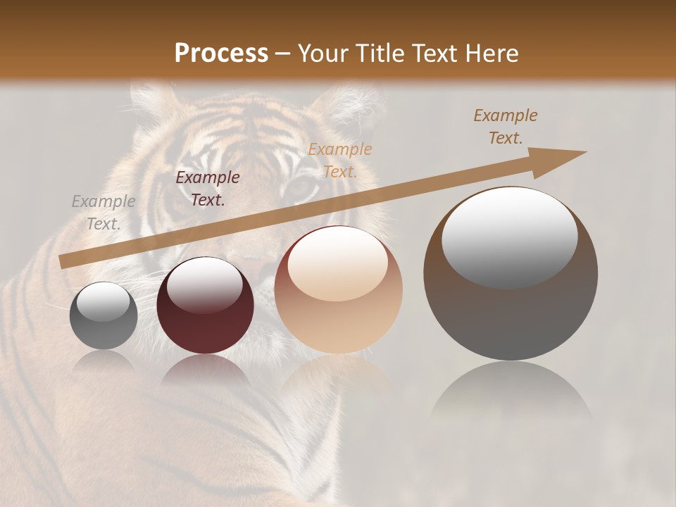 Tongue Head Tigress PowerPoint Template