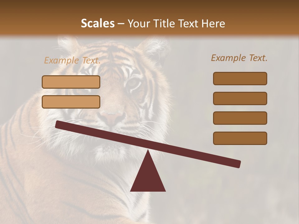Tongue Head Tigress PowerPoint Template