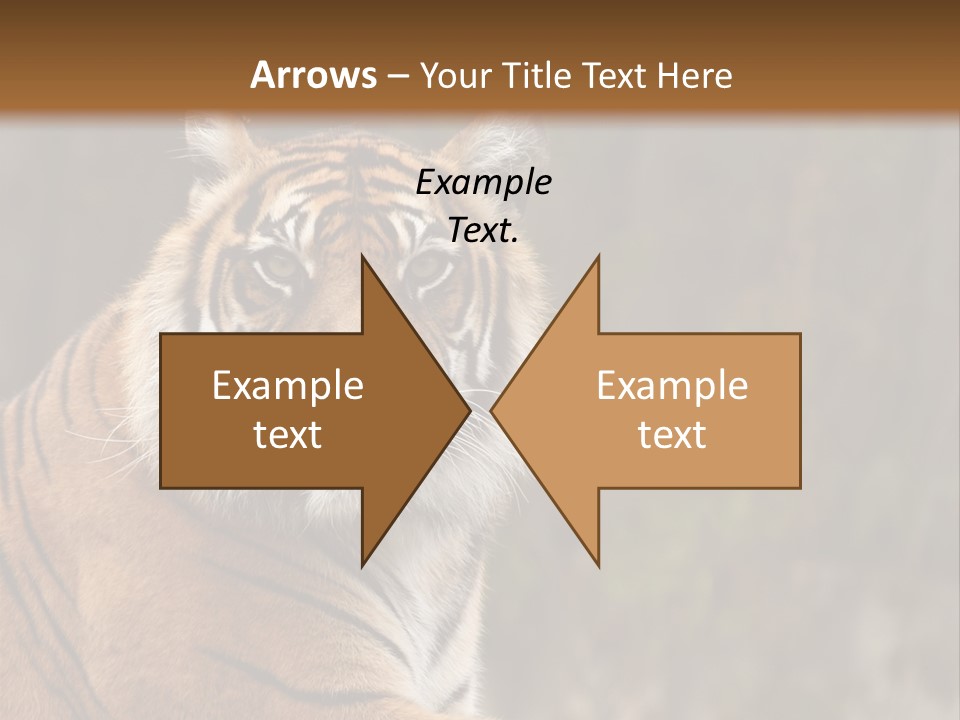 Tongue Head Tigress PowerPoint Template