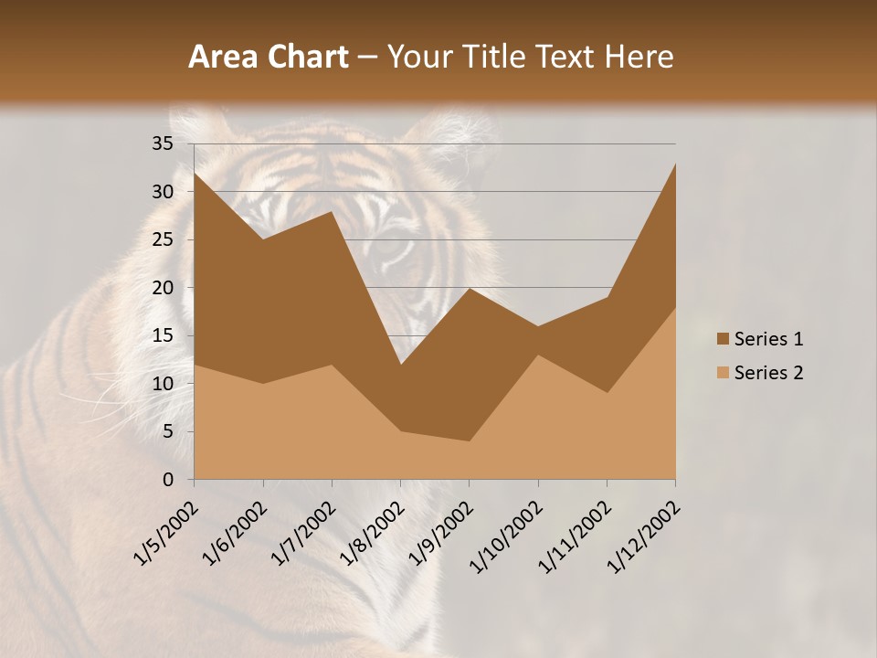 Tongue Head Tigress PowerPoint Template