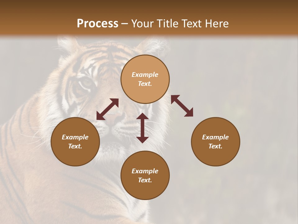 Tongue Head Tigress PowerPoint Template