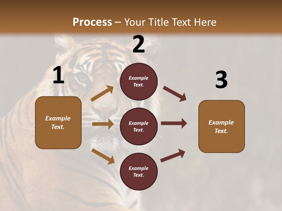 Tongue Head Tigress PowerPoint Template