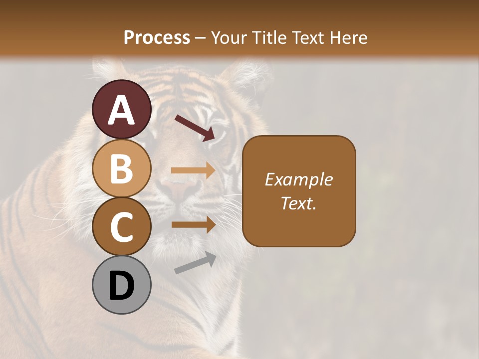 Tongue Head Tigress PowerPoint Template