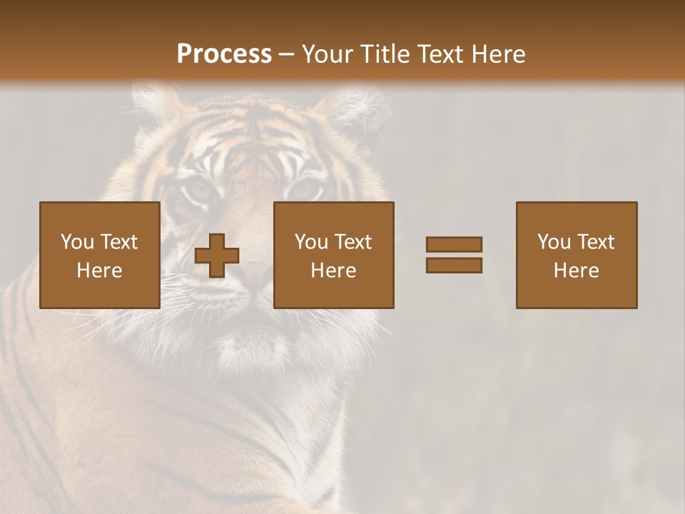 Tongue Head Tigress PowerPoint Template