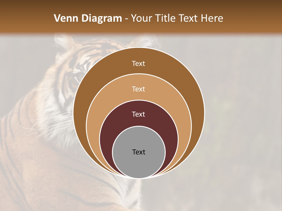 Tongue Head Tigress PowerPoint Template