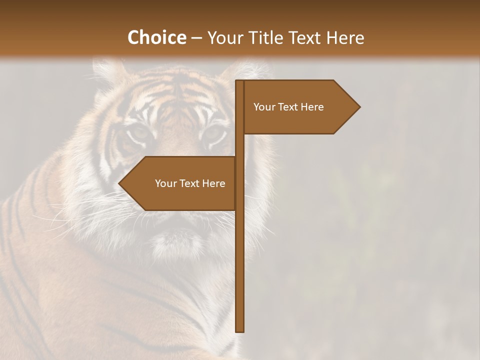 Tongue Head Tigress PowerPoint Template