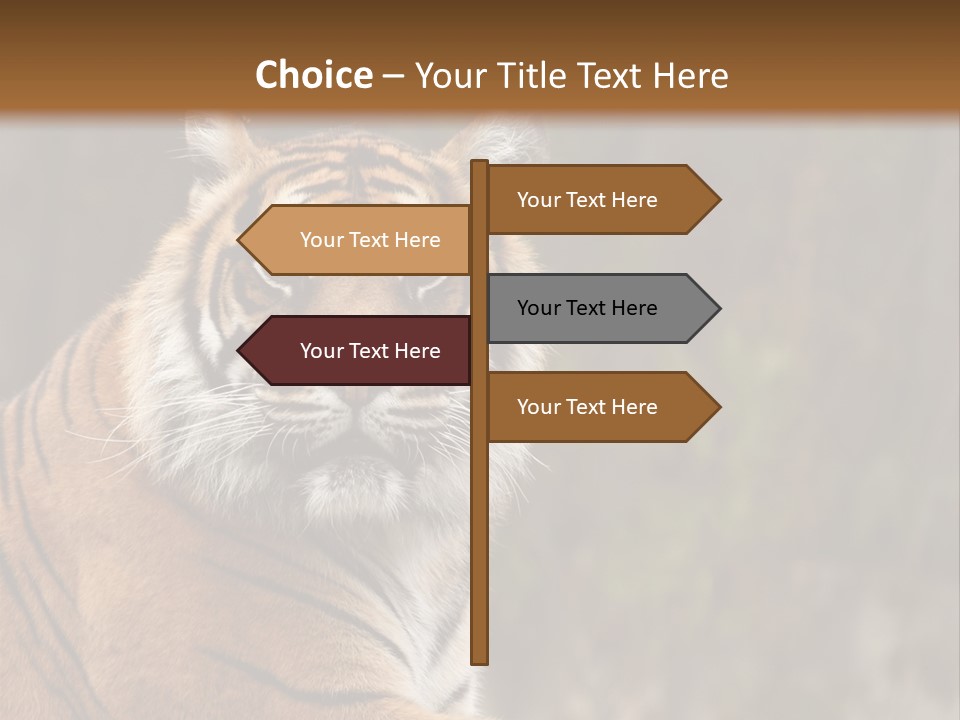Tongue Head Tigress PowerPoint Template