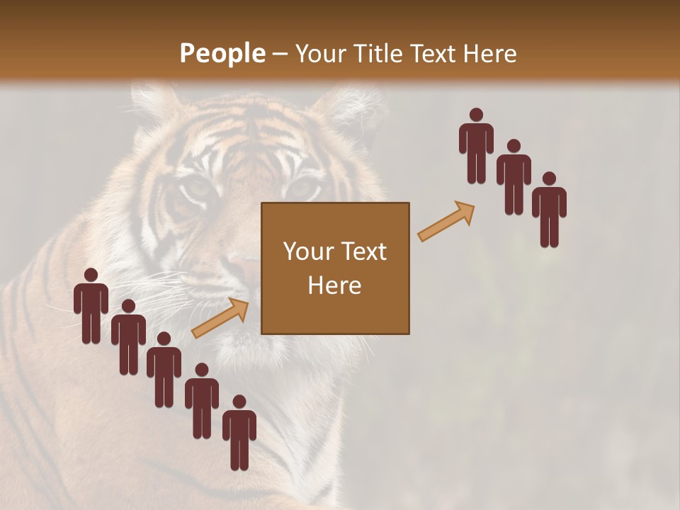 Tongue Head Tigress PowerPoint Template