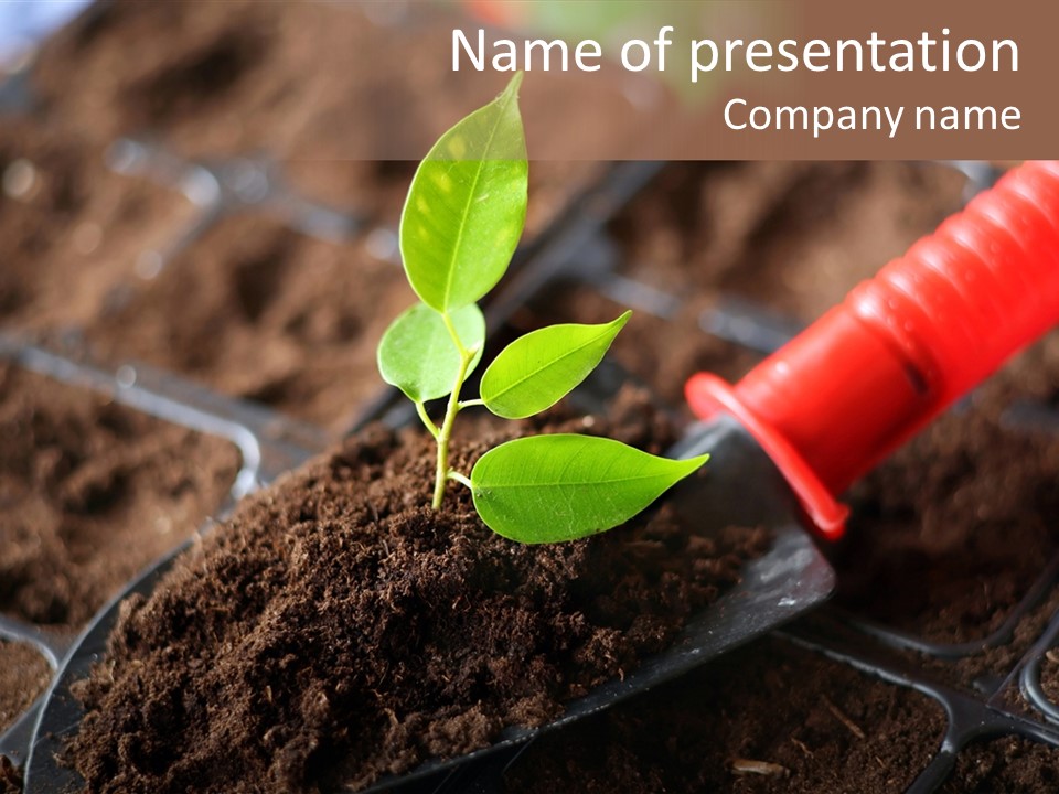 Seedling Soil Growth PowerPoint Template